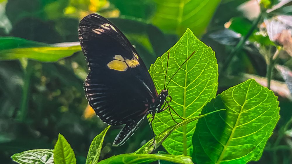 Photograph by Can O. Gunay