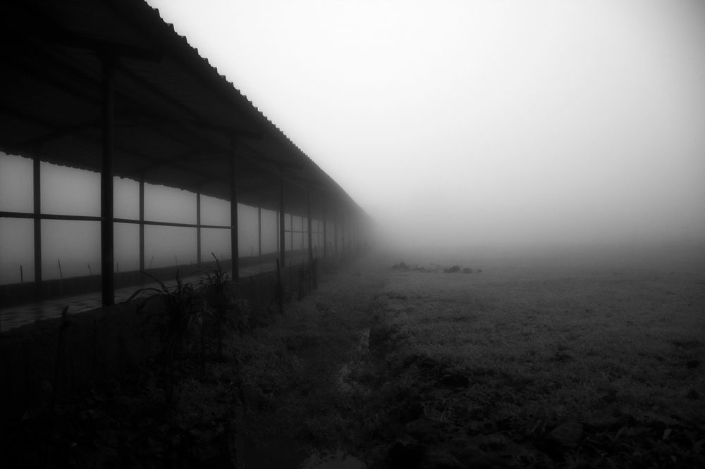 Фотография автора Hirak Mitra