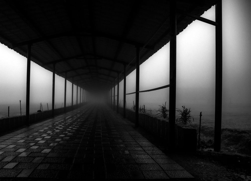 Фотография автора Hirak Mitra