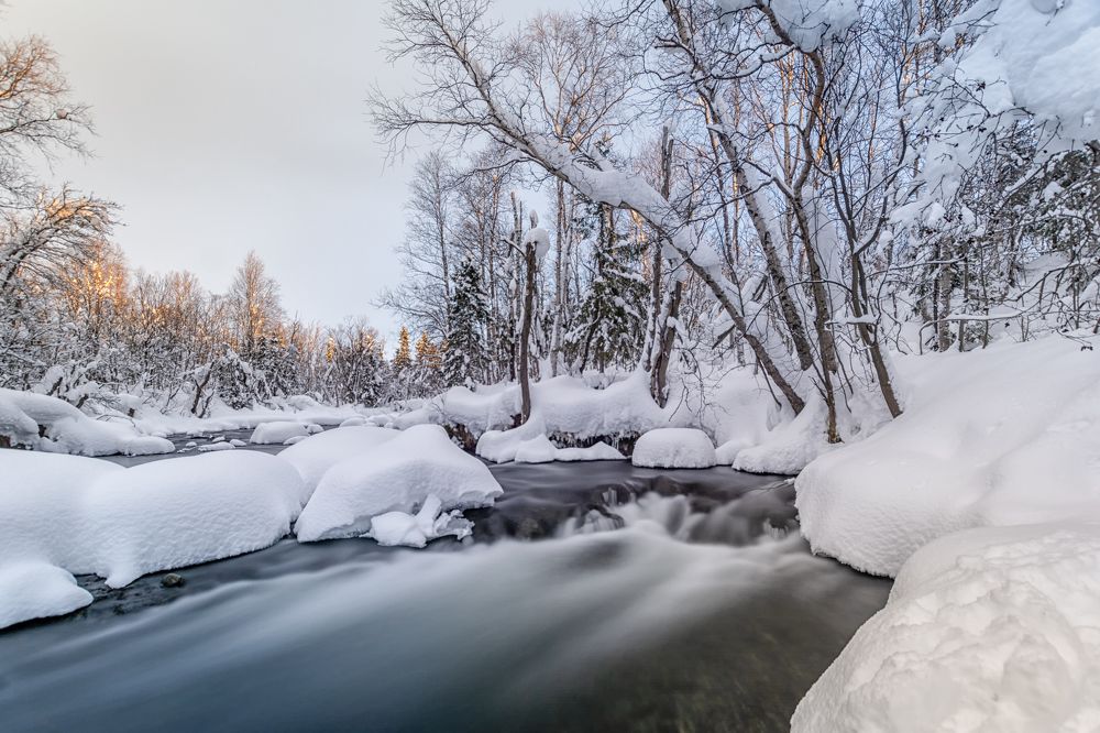 Фотография автора Илья Большаков