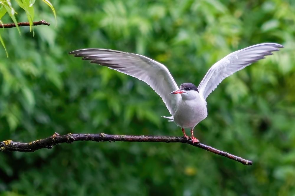 Photograph by Pavel Morozov