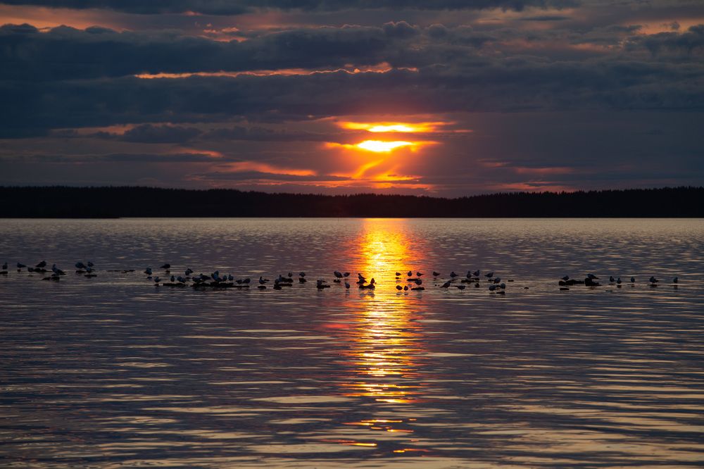 Photograph by Lev Kaufman