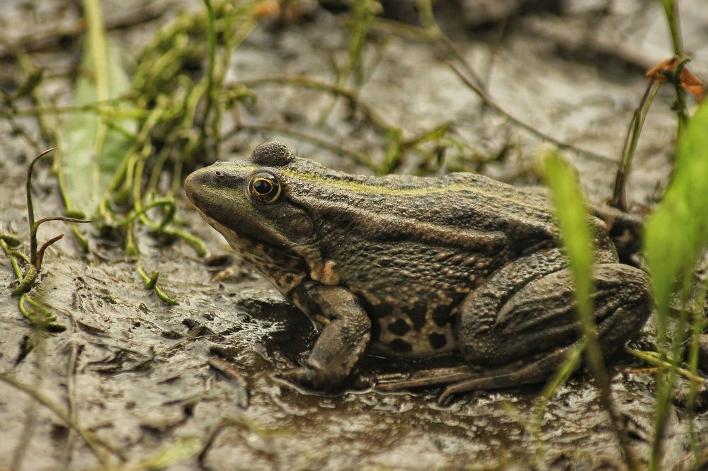 Photograph by Sergey Velichko