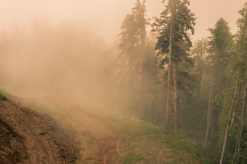 Photograph by Виктор Черкасов