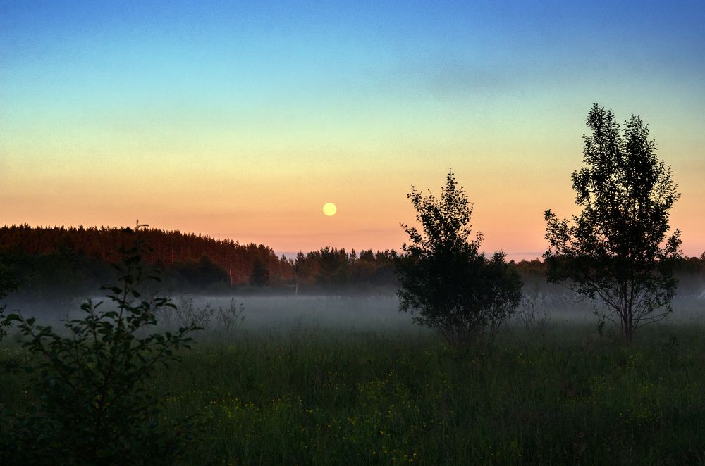 Photograph by Грязев Сергей