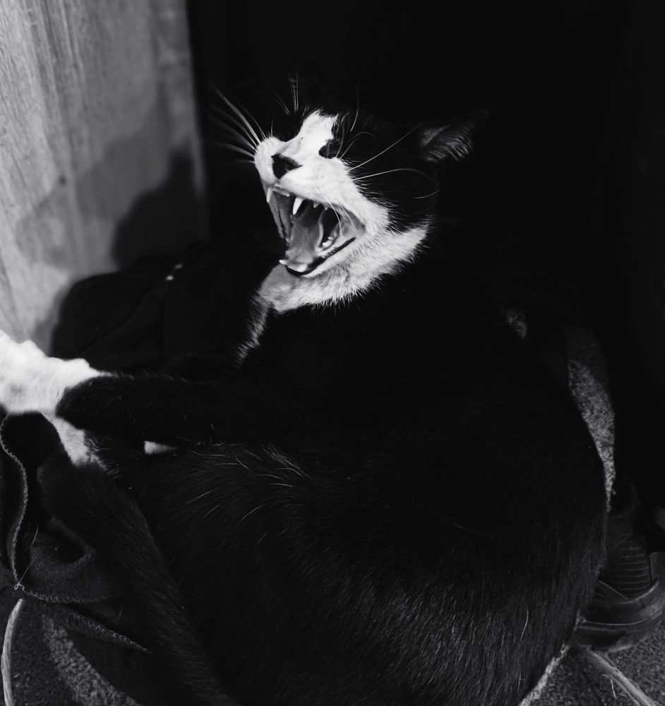 Photograph by Александр