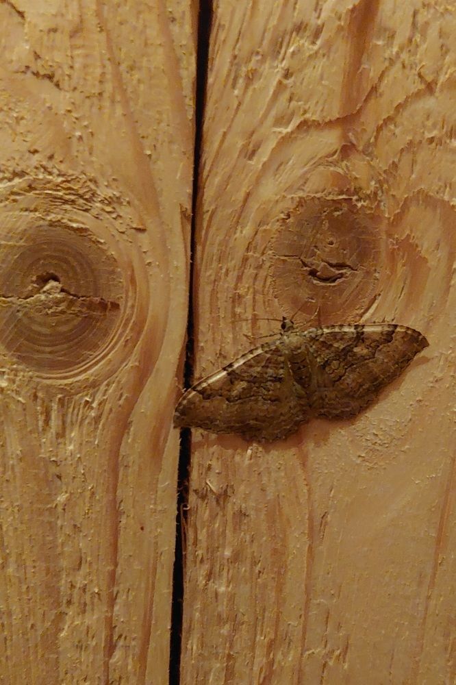 Фотография автора Егоров Максим