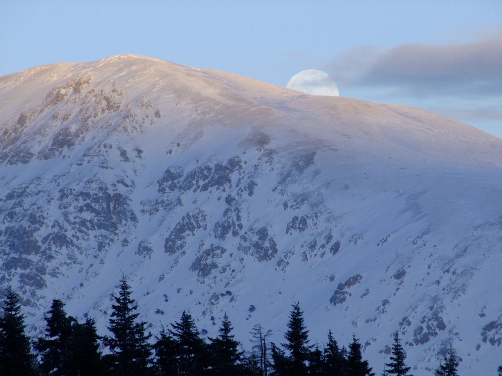 Photograph by Cengiz Yalcin