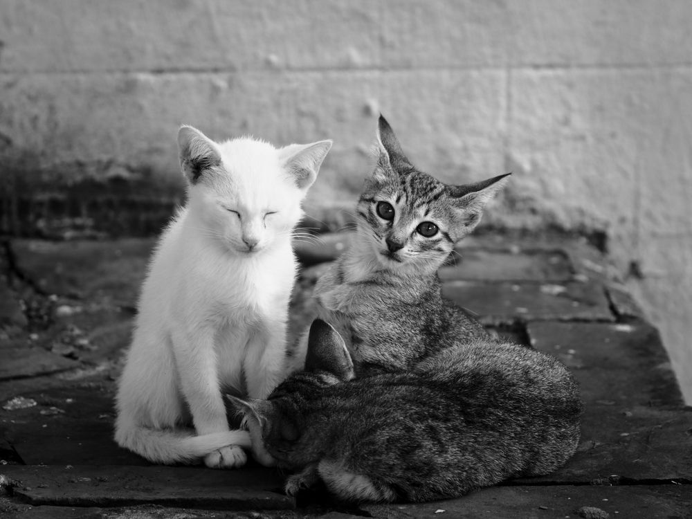 Photograph by Артемий