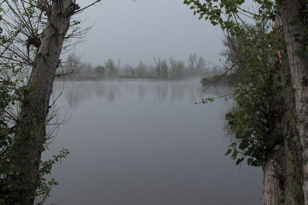 Photograph by RyanCarterMedia