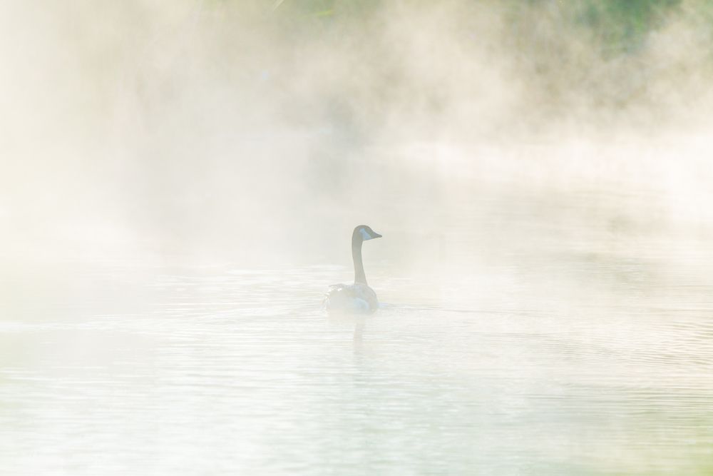 Photograph by RyanCarterMedia