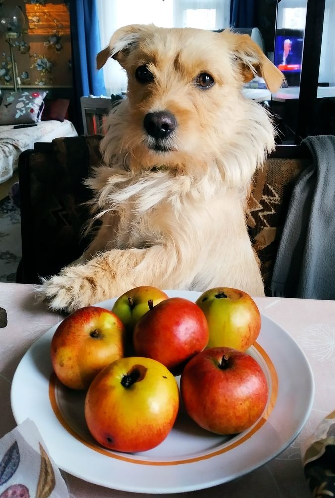 Жду что-нибудь съедобное.