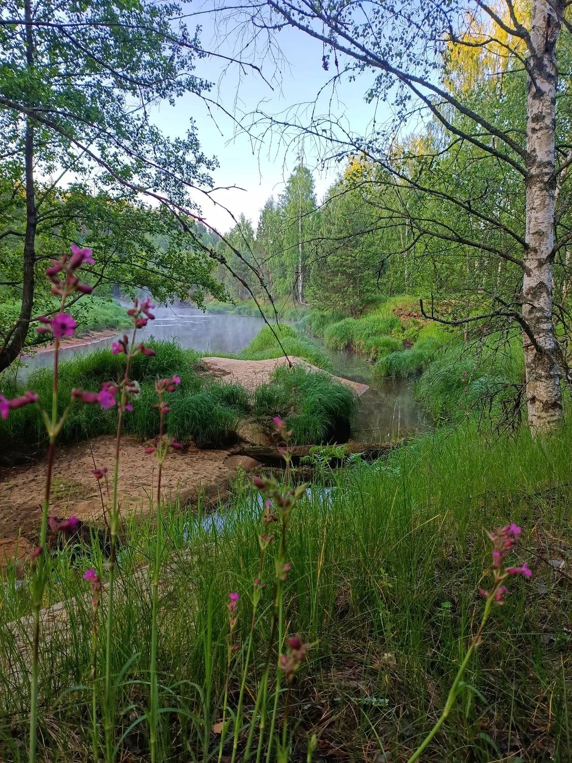Photo #9193608