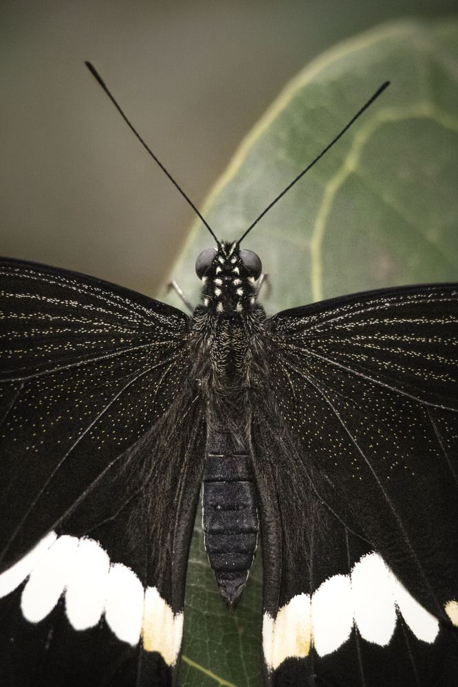 Photograph by Markéta Mastešová