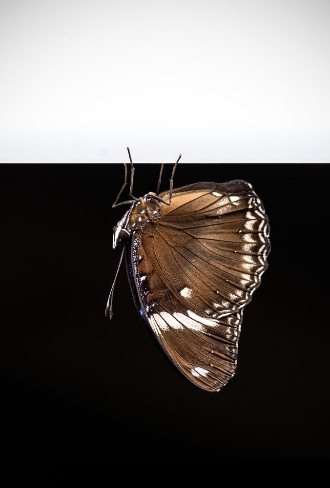 Photograph by Markéta Mastešová