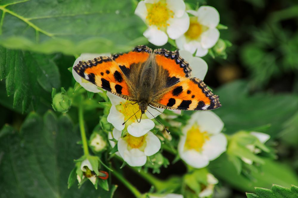 Photograph by Рослякова Елена