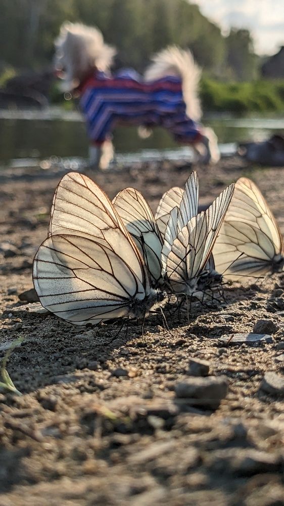 Photograph by Наталья Рассохина
