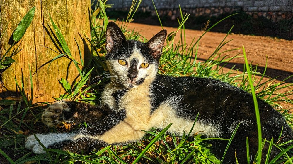 Фотография автора serubogo vicentes