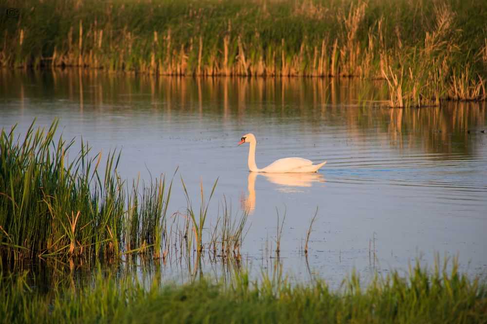 Photograph by Рослякова Елена