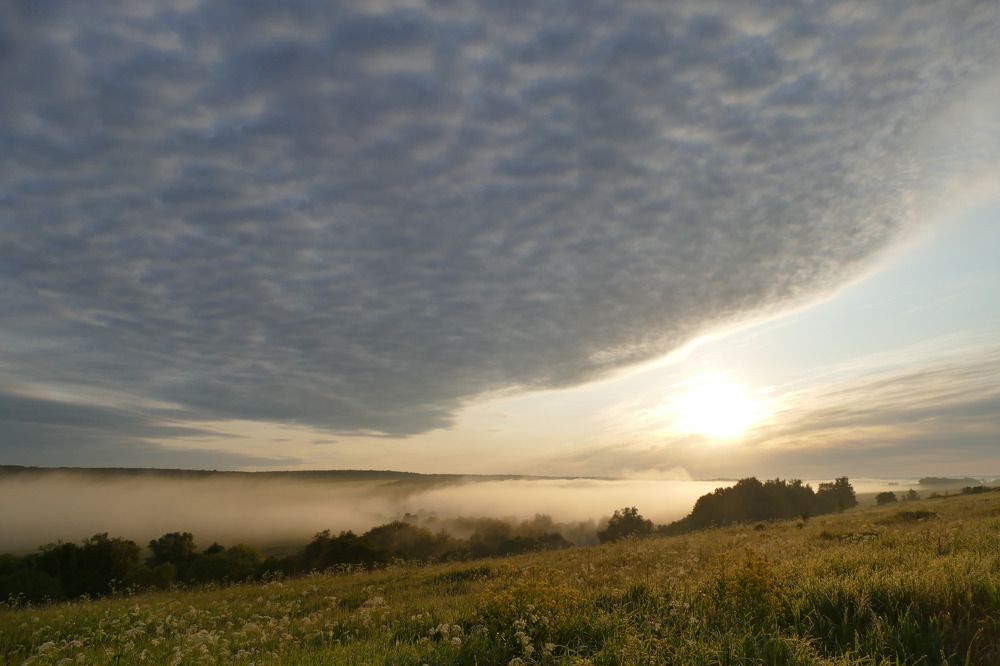 Photograph by Anastasia Perez