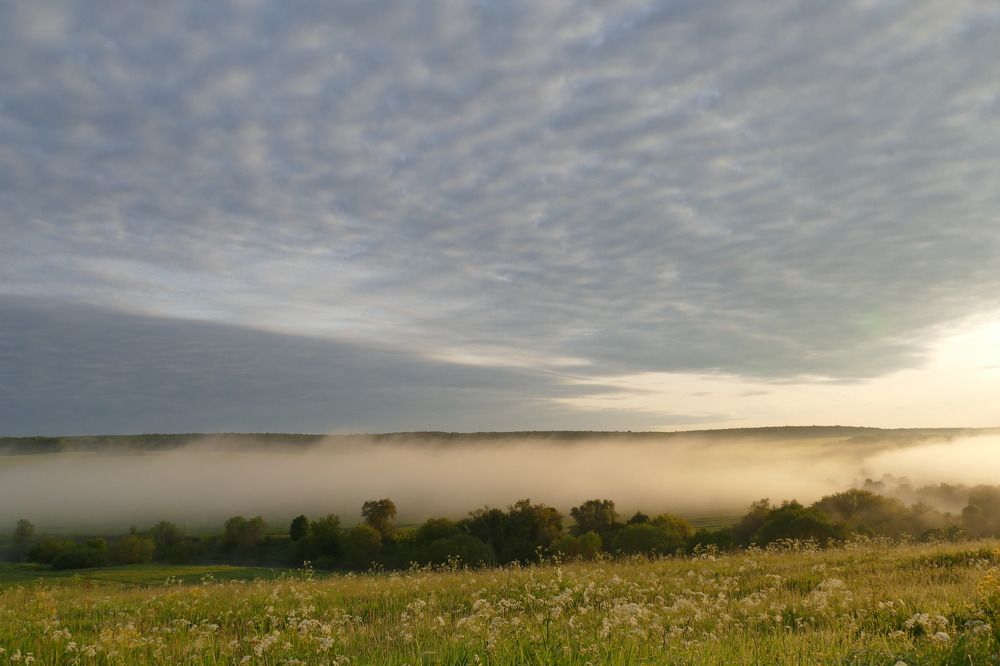 Photograph by Anastasia Perez