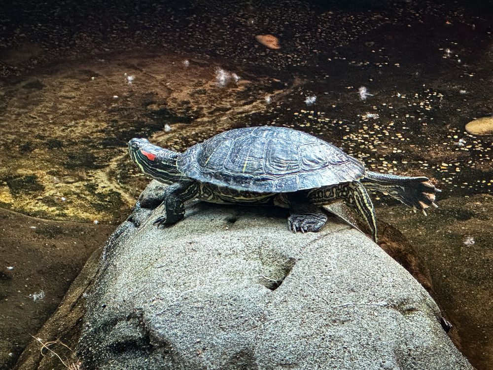 Photograph by Екатерина Слепнева