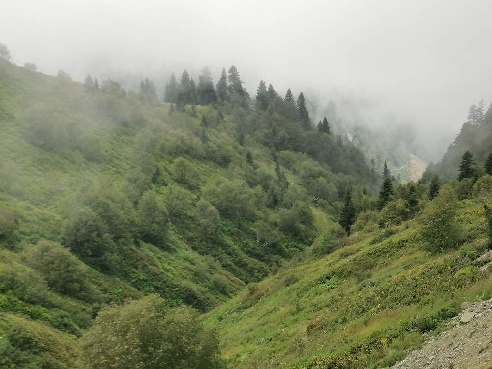 Photograph by Ольга Попченко