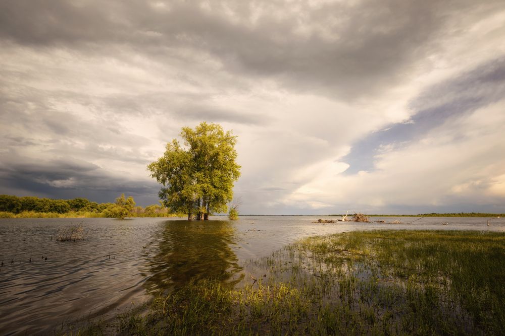 Фотография автора Игорь Баранов
