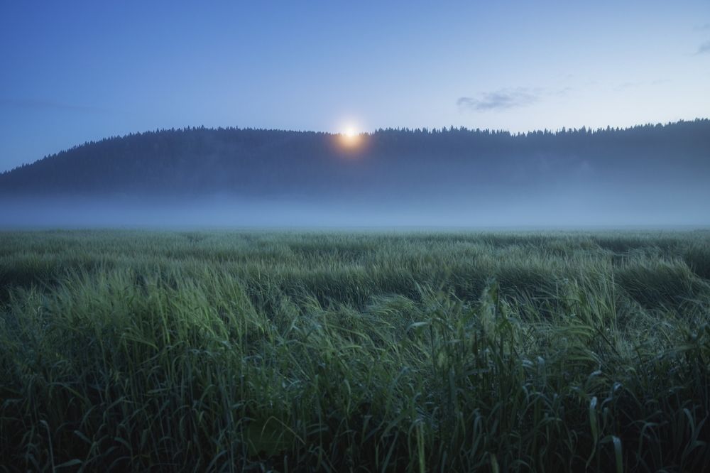 Фотография автора Котов Андрей