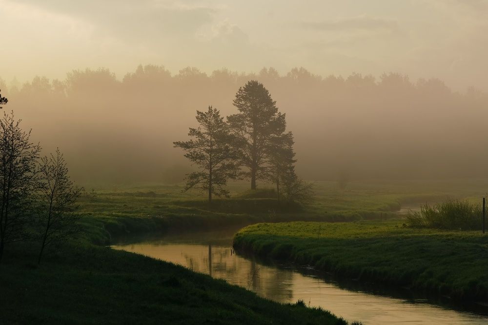 Photograph by Ирина Хмельщикова