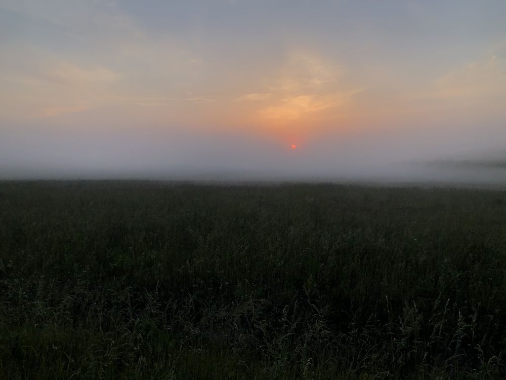 Photograph by Анастасия Дончук