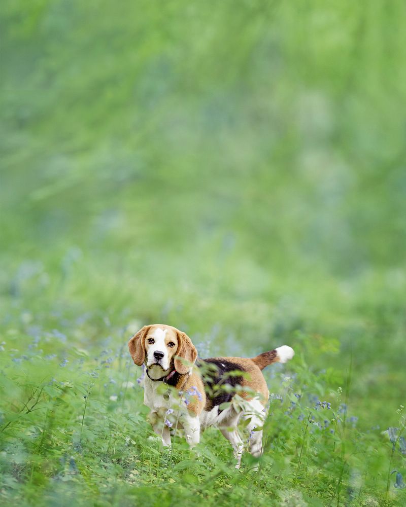 Photograph by Justina Maiz Casas