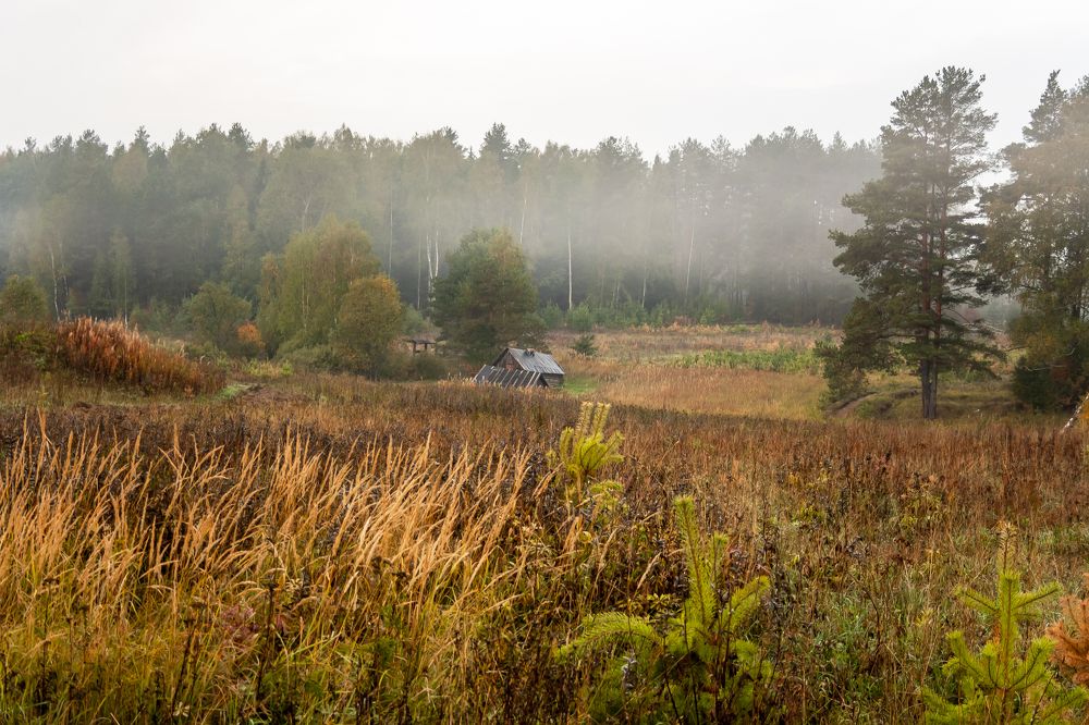 Фотография автора Вадим Лабитов