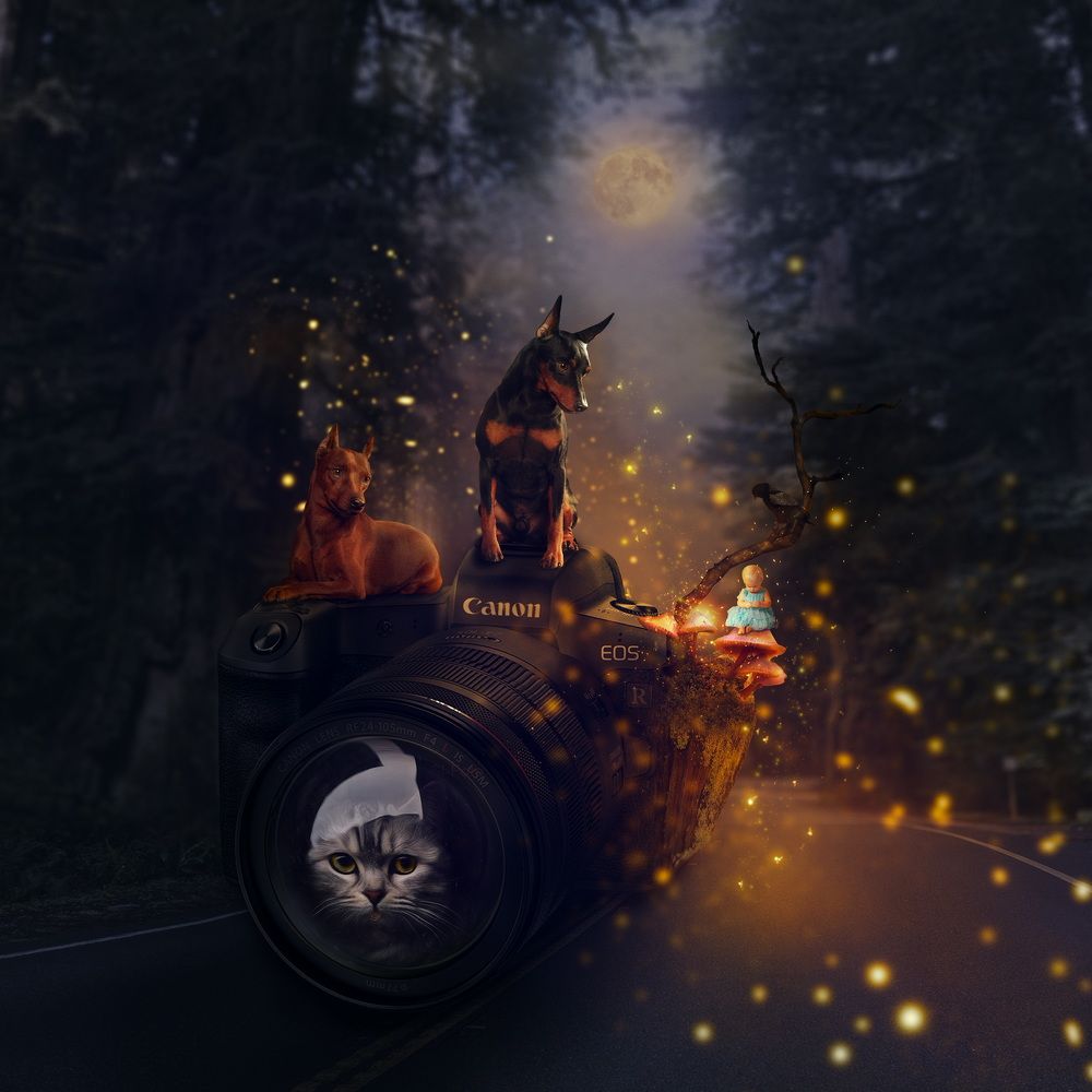 Фотография автора Ольга