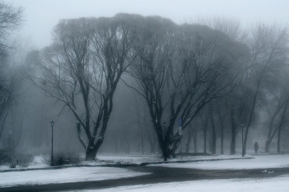 Photograph by Иванов Григорий