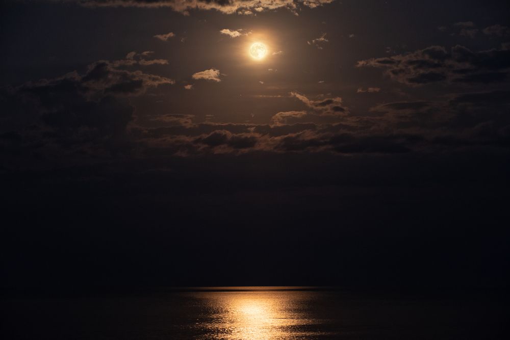 Photograph by Оксана Пономаренко