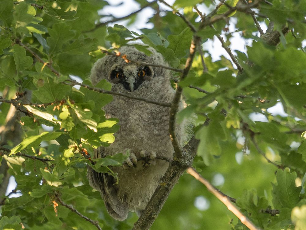 Photograph by Susanna Kari