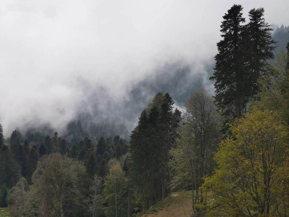 Photograph by Ольга Попченко