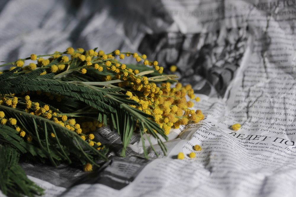 Photograph by Глеб Мацак