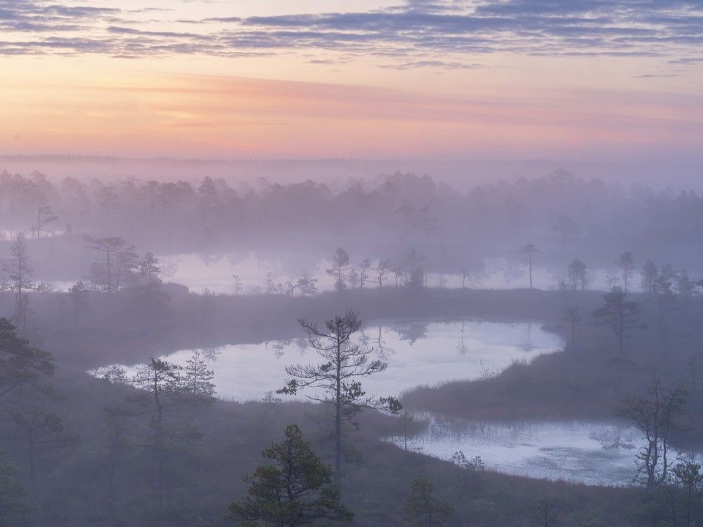 Photograph by Susanna Kari