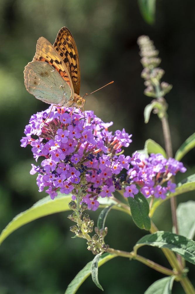 Photograph by Андрей Валерьевич