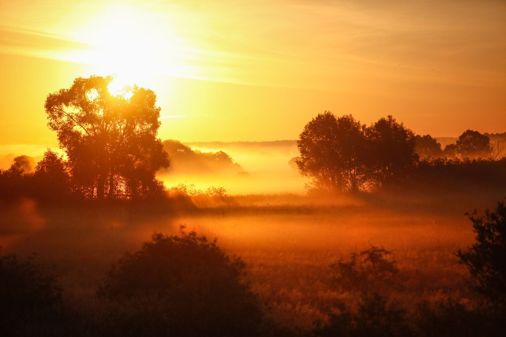 Photograph by Александр Ермаченко