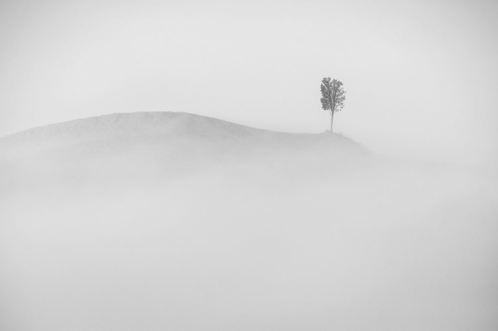 Photograph by Lorenzo Battistini