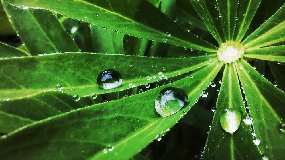Photograph by Тимур Сенатович