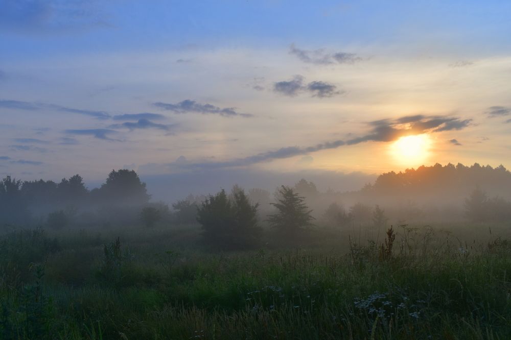 Летний туман
