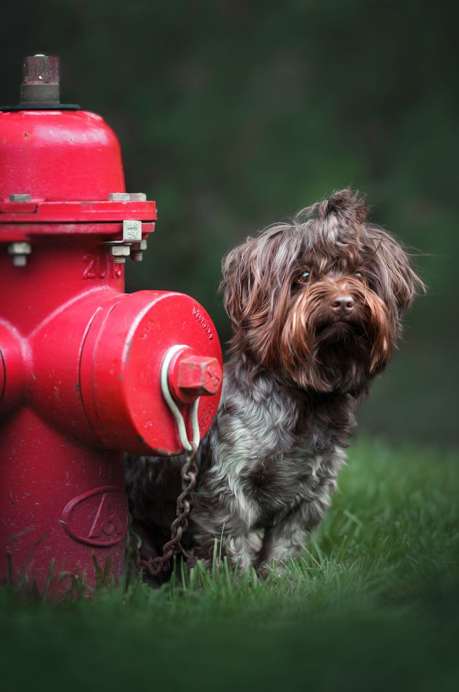 Фотография автора Eugenia Tuzova