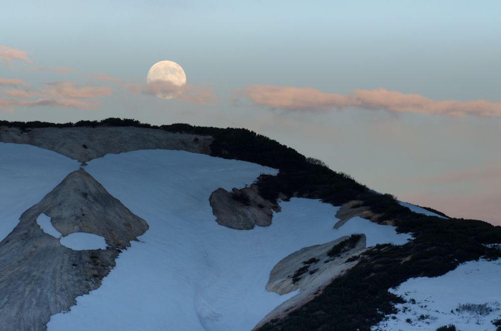 Photograph by Максим Ушаков