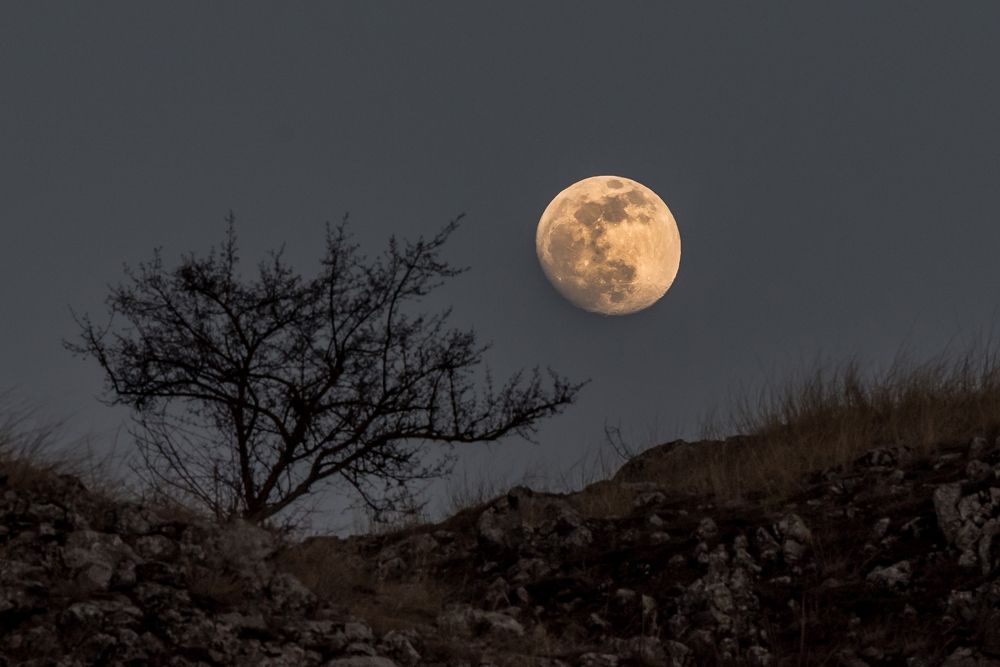 Photograph by levi bagy