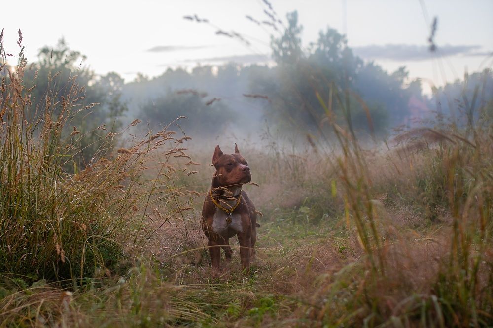 Photograph by Наталья Носова (Кучеренко)