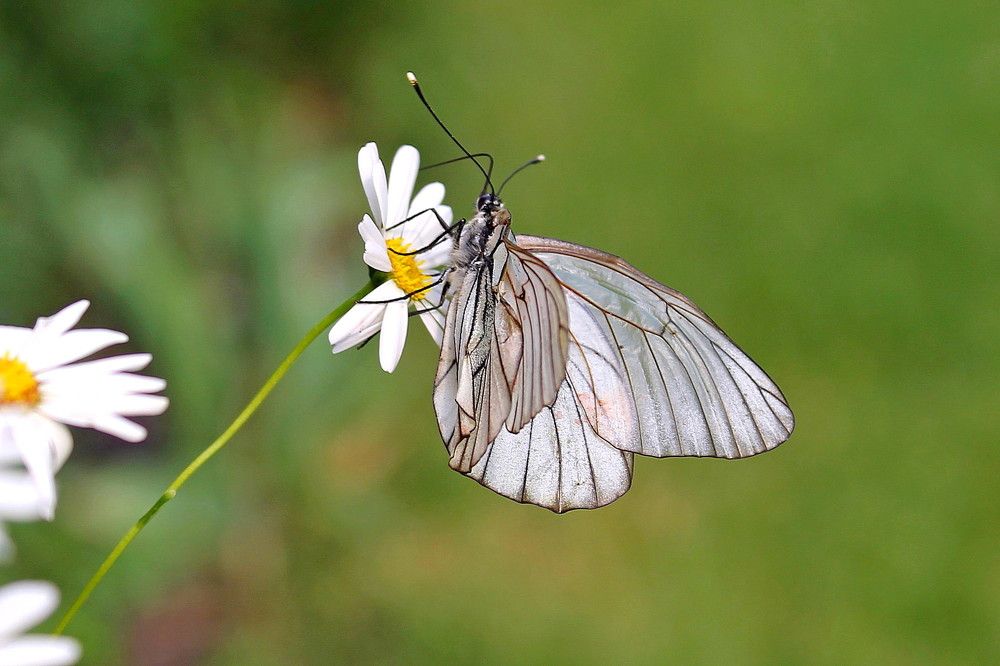 Photograph by Тамара Кремлева